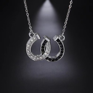 Collier de haute qualité pour hommes et femmes, bijoux animaux, strass noirs et blancs, collier chaîne fer à cheval double U - Product Image 3