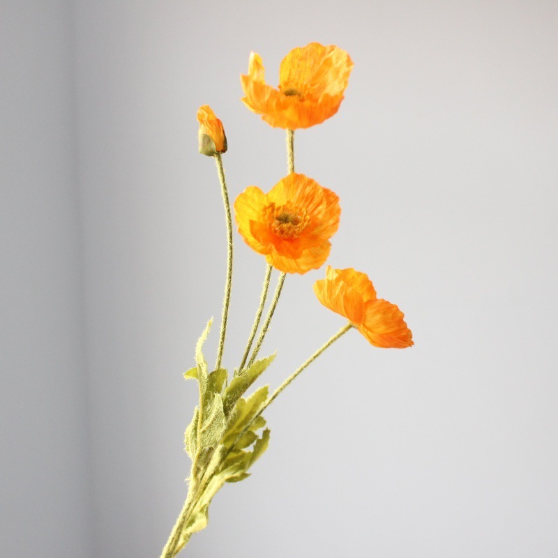 Arancione chiaro