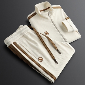 Tuta Sportiva di Lusso da Uomo, Casual con Colletto Alto, in Puro Cotone, Taglie Forti, <span class=keywords><strong>Serie</strong></span> Estate/Inverno, Vendita all'Ingrosso - Product Image 3