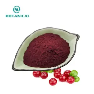 Fornitura integratore di mirtillo rosso naturale per uso alimentare estratto di frutta Cranberry in polvere