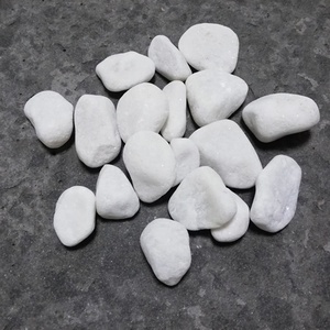 <span class=keywords><strong>Galets</strong></span> <span class=keywords><strong>blancs</strong></span> pour jardin, paquet de <span class=keywords><strong>20</strong></span> kg, <span class=keywords><strong>galets</strong></span> <span class=keywords><strong>blancs</strong></span> à vendre - Product Image 4