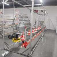 Mangeoire automatique durable pour poulets, grand système d'alimentation pour poulets, bac réglable, état neuf, contrôle avicole de fin de ligne