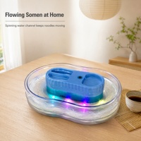 Nouvelle conception Nagashi Somen Shines Cool Noodles, machine à nouilles à LED avec batterie intégrée, style japonais
