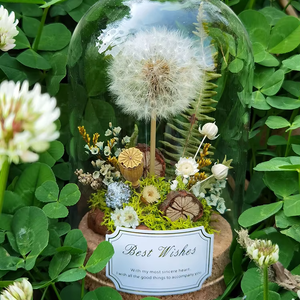 Hecho a mano Real diente de león flor seca planta inmortal espécimen cubierta de vidrio Micro paisaje decoración de escritorio adornos graduación - Product Image 2