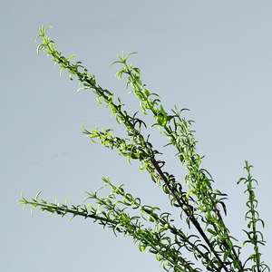 Feuille de Bambou Simulée Fougère Mur Plante Fleur Plastique Verte <span class=keywords><strong>Romarin</strong></span> avec Parfum Vanille Colle Douce Artificielle Verdure de Noël - Product Image 4