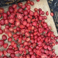 Continue transportband type fruit- en groente halve snijmachine tomaten druiven halve snijmachine