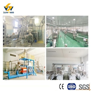 Industrial Pici Pasta Processing Machine Single-screw Extrusion Line with Thick Hand Rolled Texture Production Line - Product Image 5