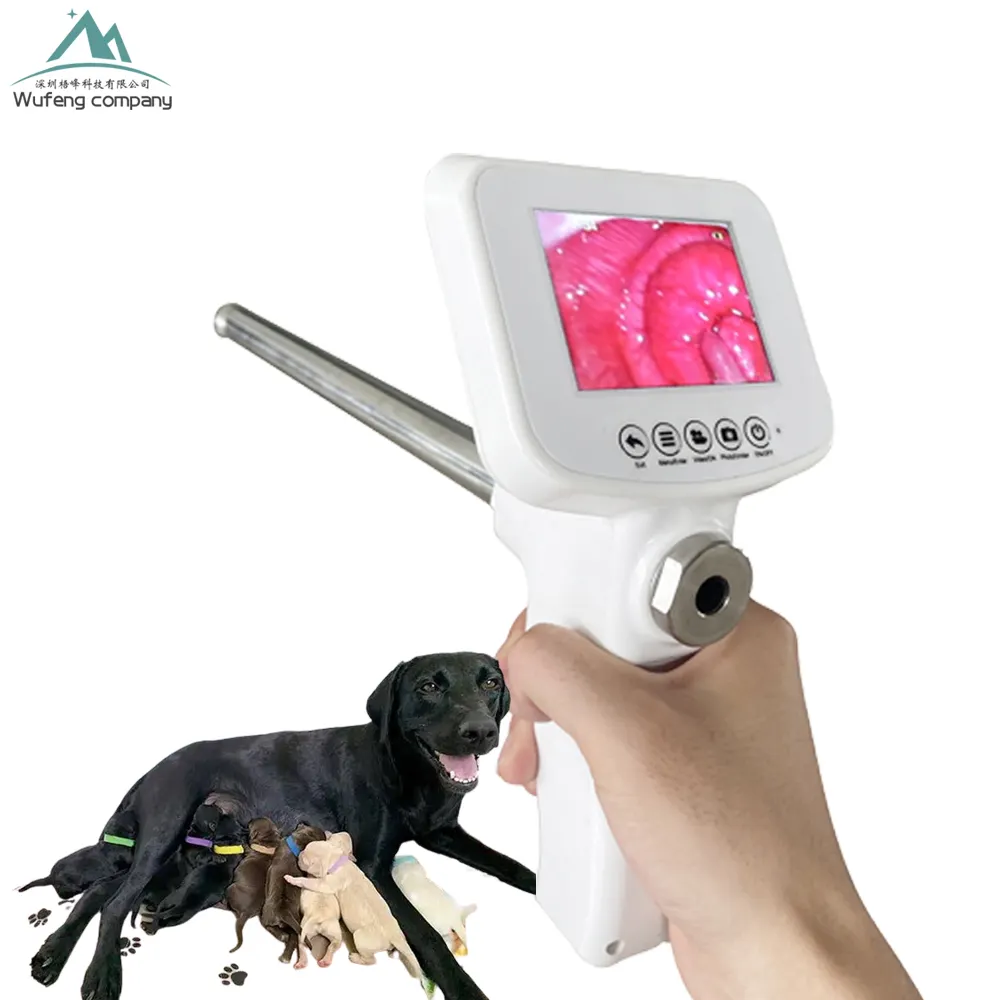 Veterinär ausrüstung Visual Portable Dog Künstliche Befruchtung pistole Digital Ai Gun Kit für Hunde mit Kamera