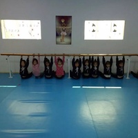 Barre d'étirement Pine Dance fixe et réglable sur pied pour salle de danse, pour adultes et enfants