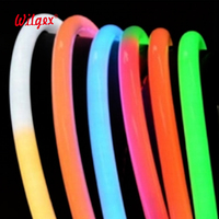 Bande LED néon personnalisée pour piscine, éclairage décoratif extérieur, USB, Epistar RGB, pixels dynamiques, corde flexible, étanche IP68