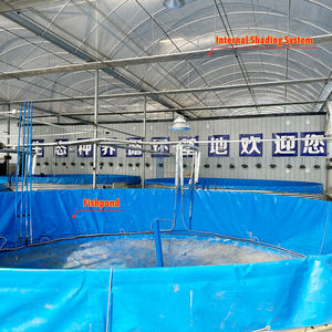 Invernaderos Acuapónicos Comerciales Usados de Gran Tamaño y de Una Sola Vía con Película de PE para Estanques de Peces y Producción de Vegetales - Product Image 4