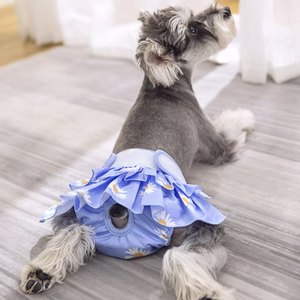 Pañales Absorbentes a Prueba de Fugas para Perros, Pantalones Sanitarios de Lujo para Mascotas, Ropa Interior Fisiológica para Hembras, para Verano e Invierno - Product Image 2