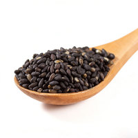 CHINAPure Graines de sésame noir cru, épices simples, naturelles, séchées par procédé AD
