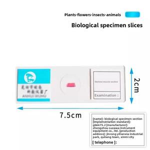 Raíz de maíz, Piel de ranita, Punta de raíz de <span class=keywords><strong>cebolla</strong></span>, Hígado, Célula epidérmica animal turbelariana, Estomato de hoja - Product Image 4