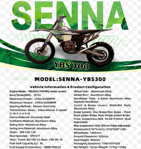 Motocicleta para Adultos GX-SENNA-YBS300 de 300cc, Refrigerada por Agua, de Cuatro Tiempos, DOHC, Monocilíndrica, con Arranque PWK34 - Product Image 4