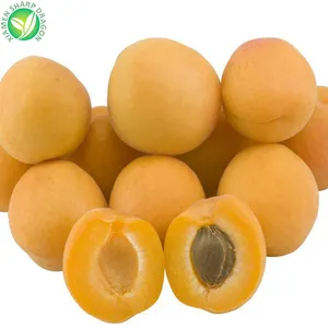IQF eksportir Harga kompetitif bubur buah beku aprikot setengah