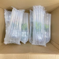 gonflables en rouleau, 2 pièces, écologiques, colonne de bulle d'air, protection de bouteille de vin, Film d'amortissement