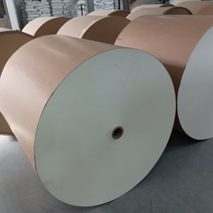 Rollo de Papel con Recubrimiento de PE para Vasos de Papel, Material de Papel de Grado Alimenticio, Rollo de Papel Impermeable Desechable, Blanco de Una o Dos Caras - Product Image 4