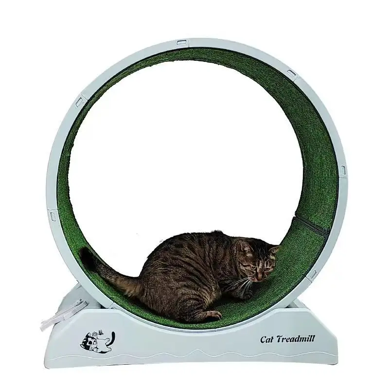 Wholesale Direct Sales Cat Fun Treadmill Custom Luxury Cat Treadmill Cat Exercise Wheel