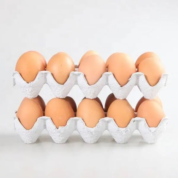 30 hole egg tray paper trays thermoforming machine egg tray maker