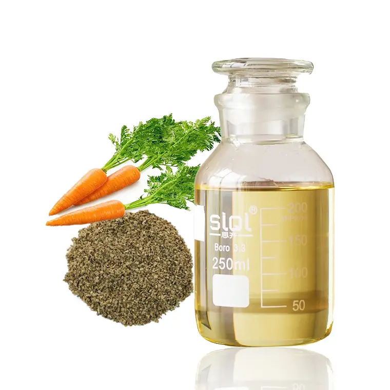 Carrot Seed Oil Factory Price 100% Pure Carrot Seed Oil for Skin Care