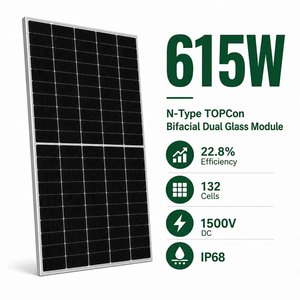 Panel Solar Bifacial de Doble Vidrio ZAIYANG 615W, 22.8% de Eficiencia, Bajo <span class=keywords><strong>LCOE</strong></span>, Carga de 5400Pa para Uso Comercial y Montaje en Suelo - Product Image 1