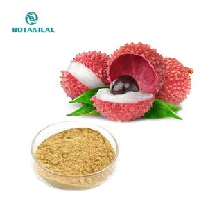 Chất lượng cao tốt nhất sản phẩm bán chạy tươi Lychee chiết xuất bột 40% polyphenol vải chiết xuất - Product Image 2