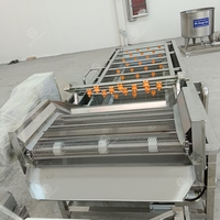 Goede Prijs Automatische Transport Bubble Fruit Reinigingsapparatuur Vers Fruit Dadels Druif Bubble Reinigingsmachine