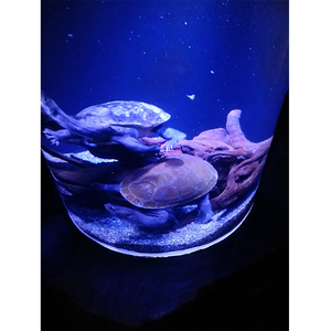 Aquarium en acrylique de qualité supérieure, Aquarium de poissons Betta transparent 100% - Product Image 5