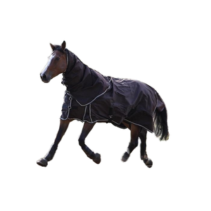 Fanfaree Hot Selling Lichtgewicht Paardentuig Waterdichte Turnout Stof Winter Fleece Katoenen Voering Dressuur Gebruik Paard Warme Dekens - Product Image 1