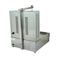 Machine à kebab/shawarma professionnelle écologique au gaz, en acier inoxydable, à deux brûleurs, pour hôtels et restaurants