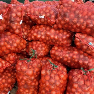 Tùy ChỉNh Nóng bán 50*80cm nhựa màu đỏ đóng gói Rau PP Ống Leno lưới túi cho nông nghiệp hành tây khoai tây - Product Image 2