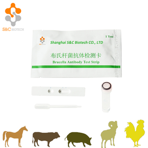 Pruebas Rápidas para Enfermedades de Ganado, Prueba Rápida para Vacas, Ovejas, Brucella, Prueba Rápida de Anticuerpos contra Brucella - Product Image 2