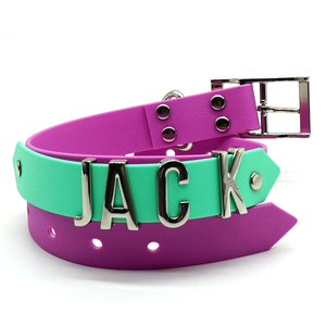 Collar de moda para mascotas en oferta con hebilla de metal con letras, collar de perro personalizado recubierto de PVC, impermeable, para razas pequeñas, medianas y grandes. - Product Image 4