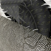 Tapis de salon rectangulaires antidérapants de luxe nordique modernes en polyester, tapis et carpettes modernes