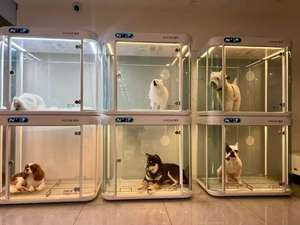 Cápsula Espacial Inteligente para Gatos, Jaula Multifuncional de 2 Niveles, Jaula de Crianza con Luces de <span class=keywords><strong>Tres</strong></span> Colores - Product Image 5