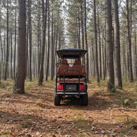 Voiturette de golf électrique de luxe |   Batterie au plomb-acide Powermax 48V, moteur, autonomie 90 km, certifiée CE