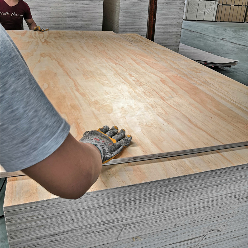 Supplier Wholesale Wood Plywood Construction Plywood
