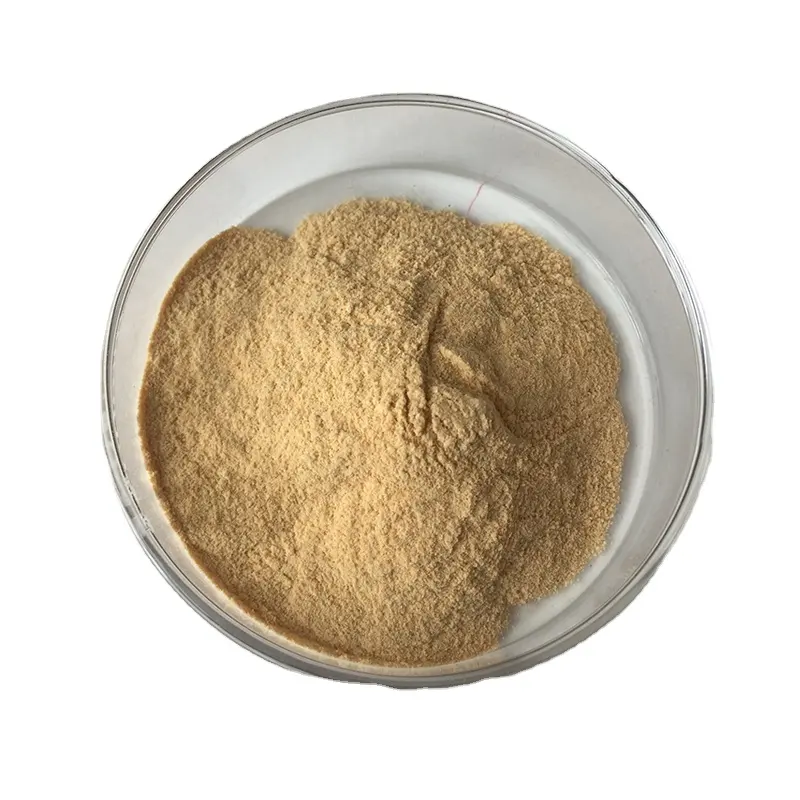 Organic Lion's Mane Mushroom Extract Lion's Mane Mushroom Powder