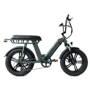 2023 Hot Selling Golden Supplier Electric Fat Tire Bike For Adults
