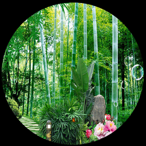Papier peint mural 3D auto-adhésif personnalisé Forêt <span class=keywords><strong>de</strong></span> bambou petite route, non-tissé, pour salon, canapé, chambre, fond <span class=keywords><strong>de</strong></span> té<span class=keywords><strong>l</strong></span>évision - Product Image 6