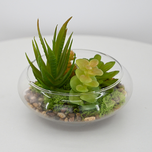 14cm Artdragon Suspendu Intérieur <span class=keywords><strong>Plante</strong></span> Succulente Artificielle Ronde En <span class=keywords><strong>Verre</strong></span> Globe Terrarium <span class=keywords><strong>Boule</strong></span> pour La Décoration <span class=keywords><strong>De</strong></span> La Maison - Product Image 1