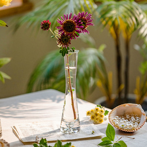 Vasi <span class=keywords><strong>Portafiori</strong></span> Personalizzati all'Ingrosso Stile Nordico Moderno a Bocca Stretta, Mini Ornamenti in Vetro Trasparente - Product Image 4