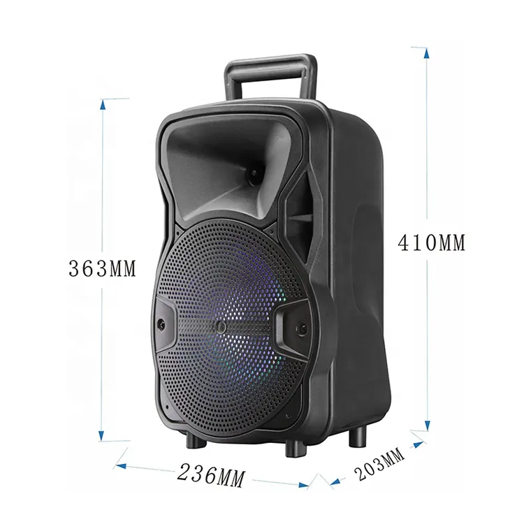 Professional new portable wireless karaoke amplifier spike outdoor USB charging bt speaker