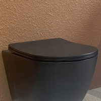 WC mural moderne MWD monobloc noir mat sans bride avec chasse d'eau Tornado, ensemble WC en céramique pour salle de bain