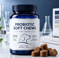 Friandises à Mâcher Probiotiques Premium pour Chiens – Soutien Digestif Avancé & Santé Intestinale – Poudre de Citrouille – Tous Âges – Durée de Conservation de 2 Ans