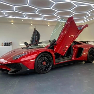 SUEZ 핫 세일 육각 차고 조명 디테일 천장 조명 - Product Image 1