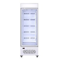 Congélateur vertical Kenkuhl SD420 à porte simple, congélateur profond vertical pour la présentation de glaces