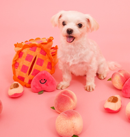 Nouveau jouet pour animaux de compagnie Peach Pie avec BiBi Sound polaire en peluche écologique en stock avec sac d'emballage pour la cachette de nourriture pour chiens