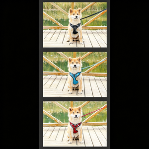 <b>pet</b> chest straps dog lightweight chest back breathable straps dog straps traction rope wholesale - Product Image 5